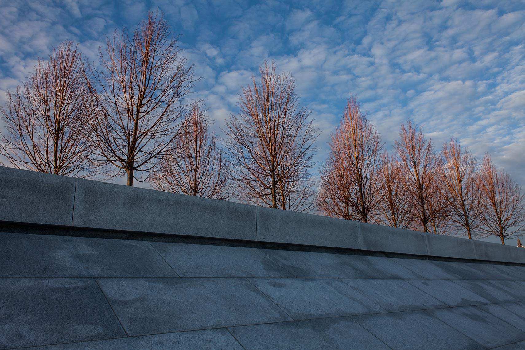 130118_hamerman_152